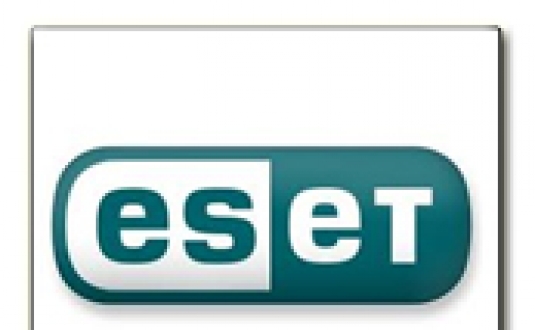 team-member